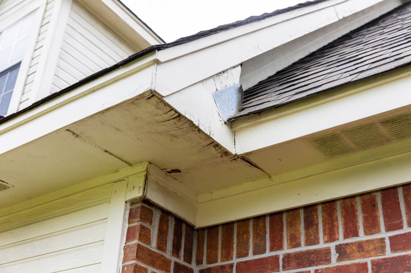 Board Siding Repair