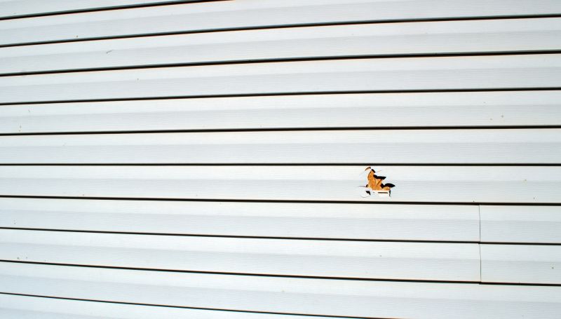 Repaired Siding Sections