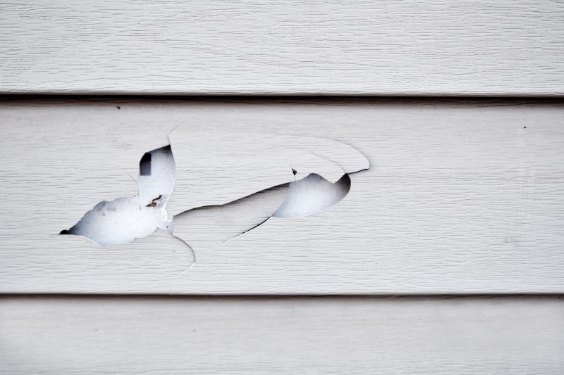 Vinyl Siding Repair